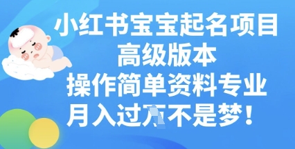 小红书宝宝起名项目高级版本,操作简单,资料专业,月入过W-OPC项目驿站