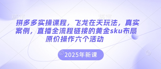 拼多多实操课程，飞龙在天玩法，真实案例，直播全流程链接的黄金sku布局原价操作六个活动-OPC项目驿站 