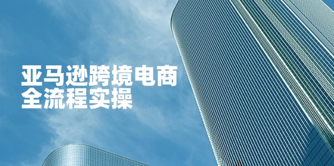 （14252期）亚马逊跨境电商全流程实操，教你从零开始，掌握店铺运营与广告技巧-OPC项目驿站 