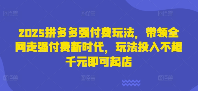 2025拼多多强付费玩法，带领全网走强付费新时代，玩法投入不超千元即可起店-OPC项目驿站 