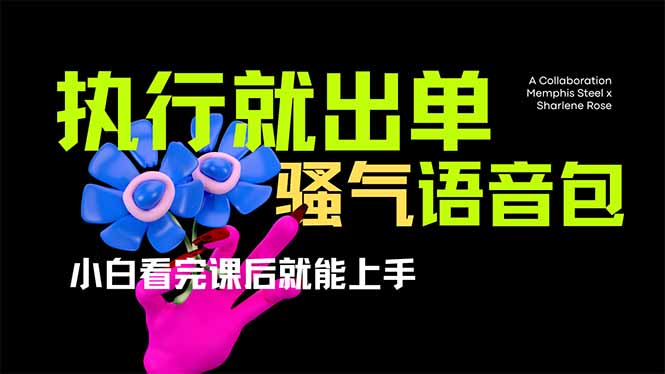 (14170期)爆火全网的开车导航骚气语音包,只要执行就出单,小白看完课程就能实操...-OPC项目驿站